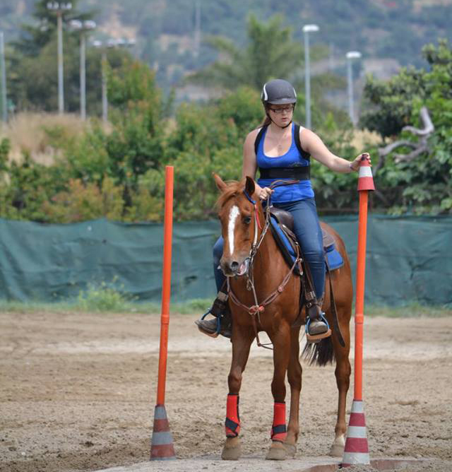 Ponte con cavalli western